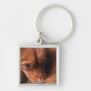 Hund Schlüsselanhänger