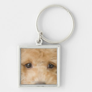 Hund Schlüsselanhänger