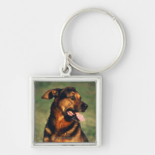 Hund Schlüsselanhänger