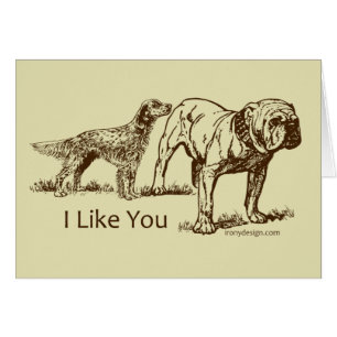 Hund schnüffelt Hintern