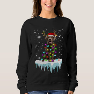 Hund  Schokolade Labrador Weihnachtslicht Sweatshirt