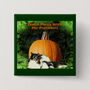 Hund schützt großen Kürbis Halloween Button