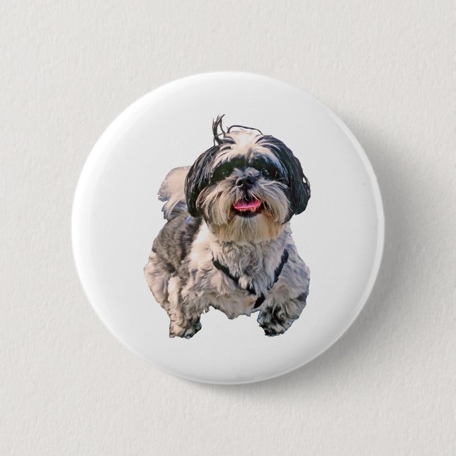 Hund Shih Tzu Button (Vorderseite)
