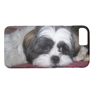 Hund Shih Tzu Case-Mate iPhone Hülle