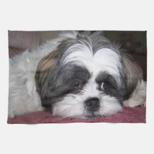 Hund Shih Tzu Geschirrtuch