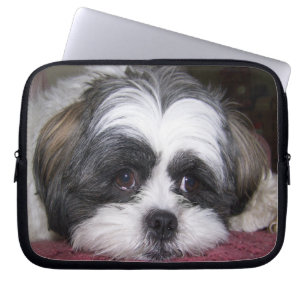 Hund Shih Tzu Laptopschutzhülle