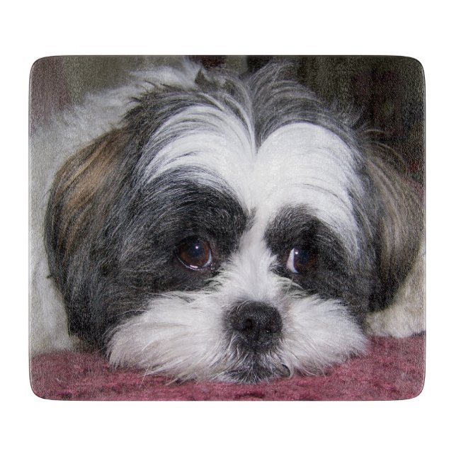 Hund Shih Tzu Schneidebrett (Vorderseite)