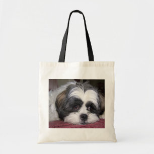 Hund Shih Tzu Tragetasche