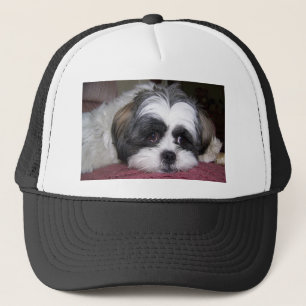 Hund Shih Tzu Truckerkappe