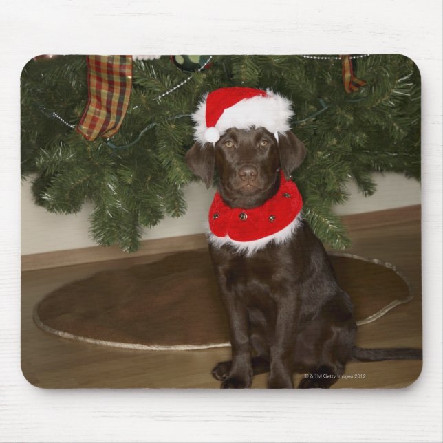 Hund sitzend an einem Weihnachtsbaum Mousepad (Vorne)