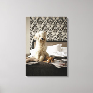 Hund sitzend auf dem Bett mit Softspielzeug und Ze Leinwanddruck
