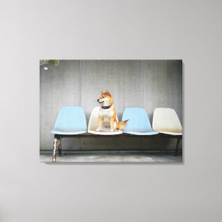 Hund sitzt auf Bank Leinwanddruck