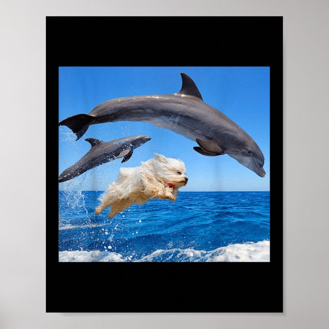Hund springt mit Delfin für Männer Frauen  Poster (Vorne)