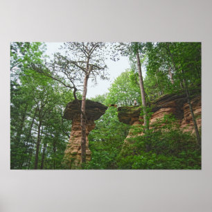 Hund springt vom Stand Rock in Wisconsin Dells Poster