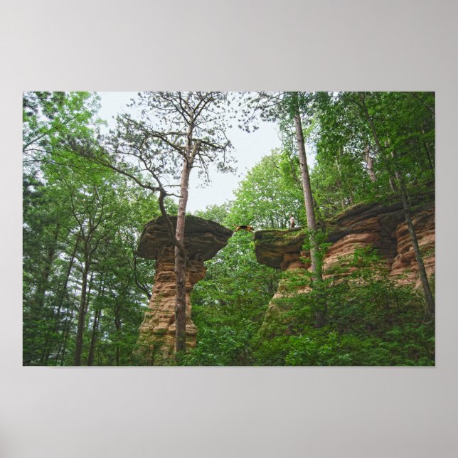 Hund springt vom Stand Rock in Wisconsin Dells Poster (Vorne)