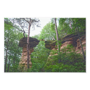Hund springt von Stand Rock in Wisconsin Dells Fotodruck