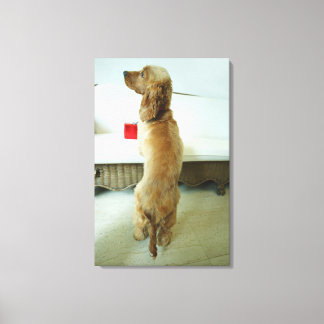 Hund stehend auf einem Sofa mit Geschenk Leinwanddruck