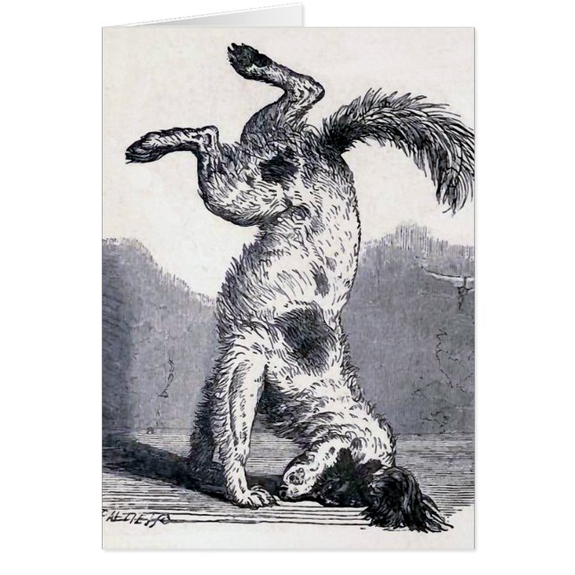 "Hund stehend auf seinem Haupt " (Vorne)