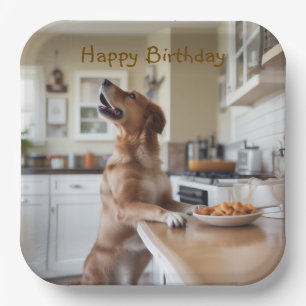 Hund stiehlt Essen Pappteller
