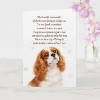 Hund Sympathie Cocker Spaniel Spirituelles Gedicht