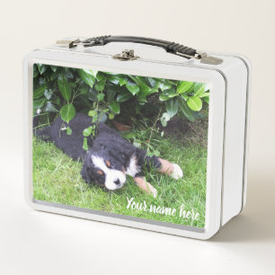 Hund, Tier, Lunchbox, Case, buntes+ Handwerk, Metall Lunch Box