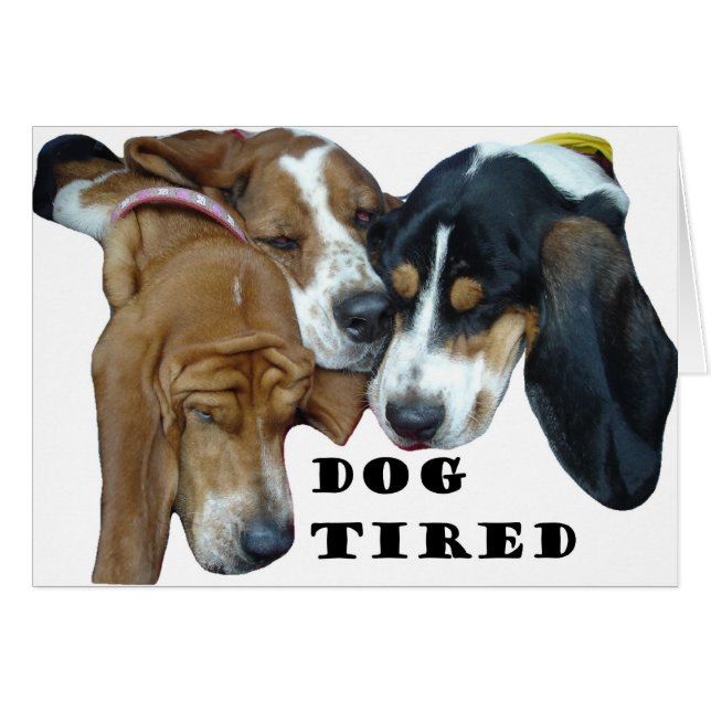 Hund Tired (Vorderseite (Horizontal))