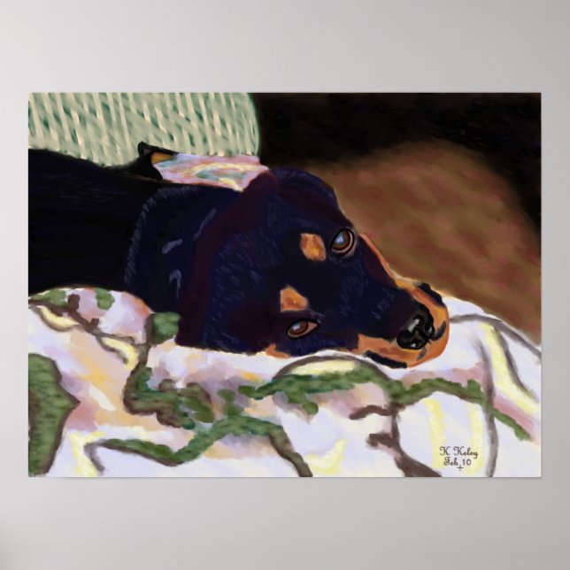 Hund Tired Poster (Vorne)