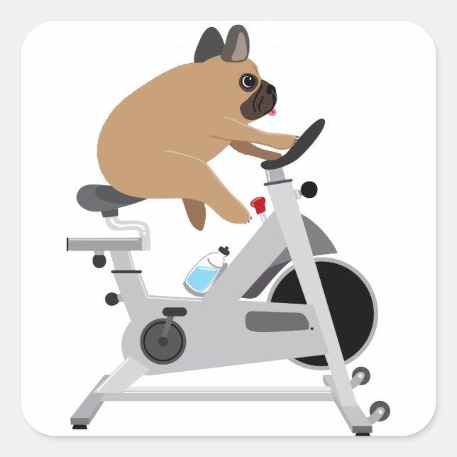 Hund Tired Quadratischer Aufkleber (Vorderseite)