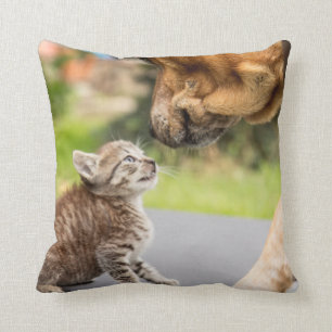 Hund u. Katze Getty Bild- in der Liebe Kissen