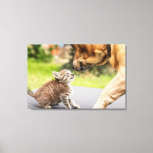 Hund u. Katze Getty Bild-  in der Liebe Leinwanddruck