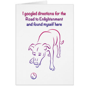 Hund und Ball - Erleuchtung