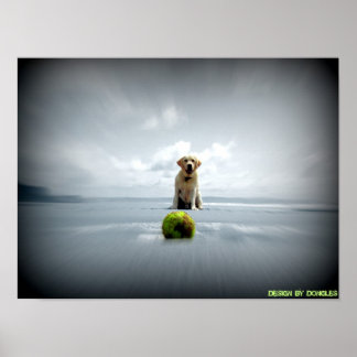Hund und Ball Poster