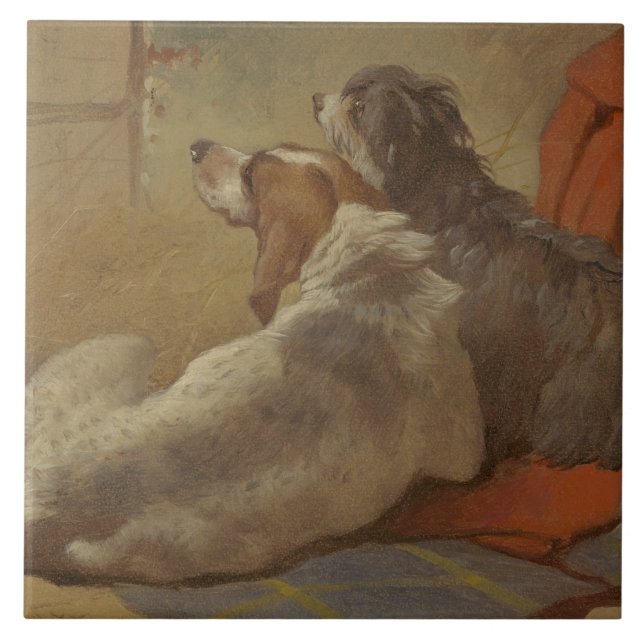 Hund und Bartollie (zwei Hunde) (Tiere) Fliese (Vorderseite)