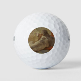 Hund und Bartollie (zwei Hunde) (Tiere) Golfball