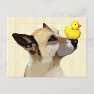 Hund und Ente Postkarte