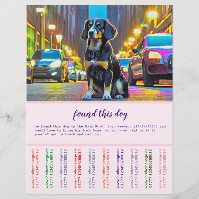 Hund und Katze Flyer (Vorne)