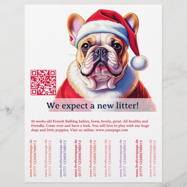 Hund und Katze Flyer (Vorne)