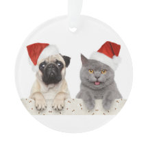 Hund und Katze im roten Weihnachtshut