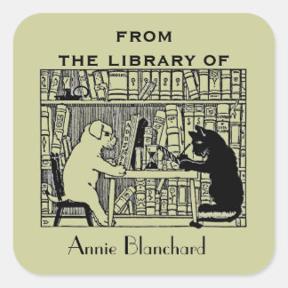 Hund und Katze in der Bibliothek Quadratischer Aufkleber