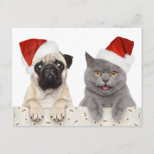 Hund und Katze in Red Christmas Hat Feiertagspostkarte