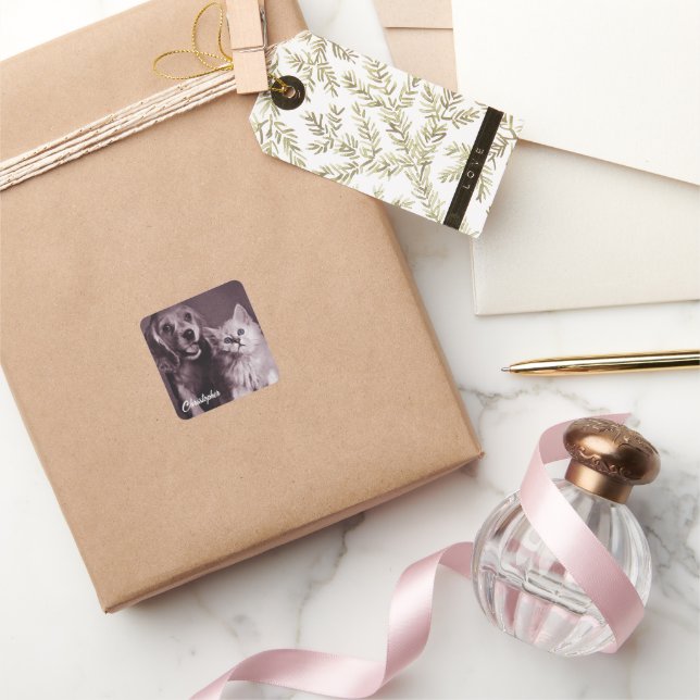 Hund und Katze, Personalisiert nachsehen Quadratischer Aufkleber (Schenken)