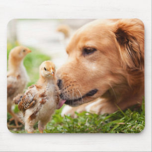 Hund und Küken Mousepad