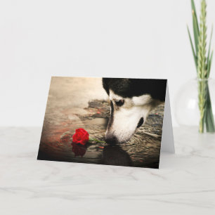 Hund und Rote Rose Karte