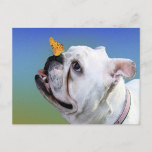 Hund und Schmetterling Postkarte
