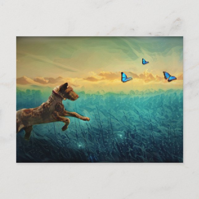 Hund und Schmetterling Postkarte (Vorderseite)
