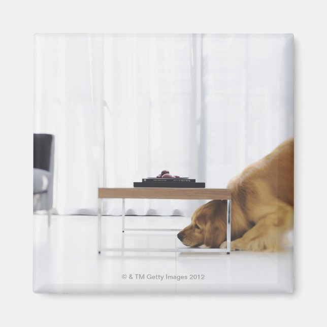 Hund und Tabelle Magnet (Vorne)