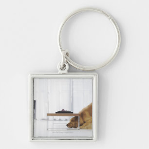 Hund und Tabelle Schlüsselanhänger