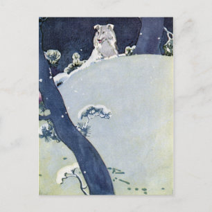 Hund unter schneebedeckten Kiefern Postkarte
