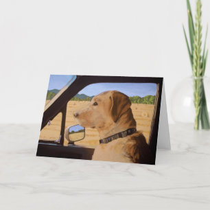 Hund unterwegs karte