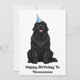 Hund von Neufundland freut sich auf Geburtstag bis Einladung